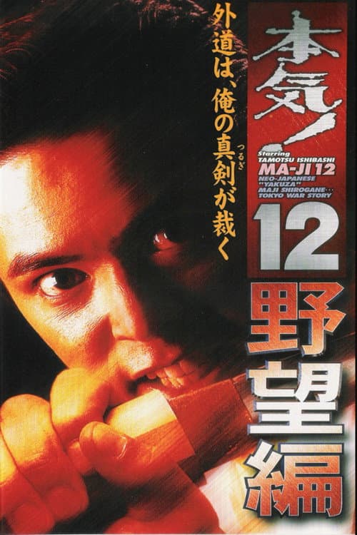 Постер: 本気!12 野望篇