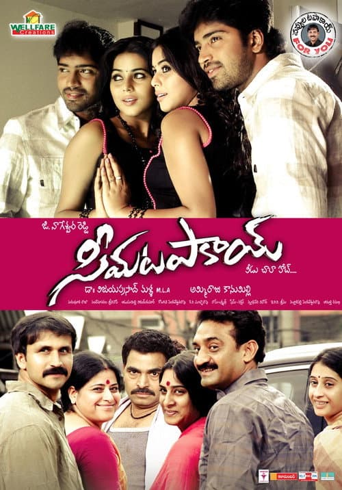 Постер: సీమ టపాకాయ్