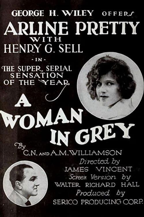 Постер: A Woman in Grey