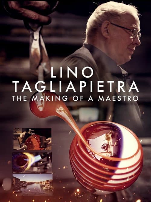 Постер: Lino Tagliapietra: The Making of a Maestro