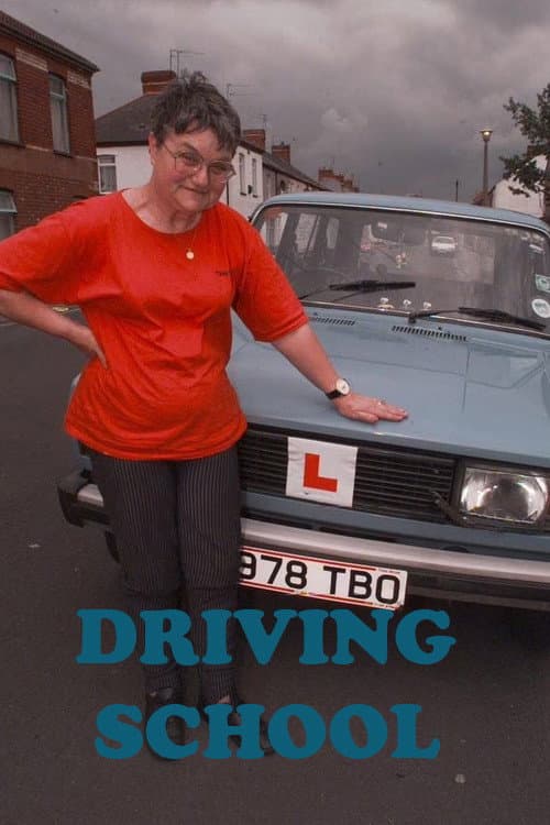 Постер: Driving School