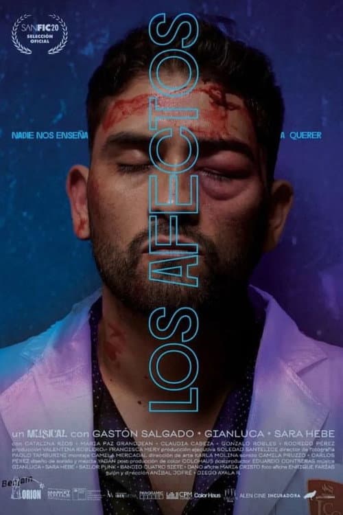 Постер: Los afectos