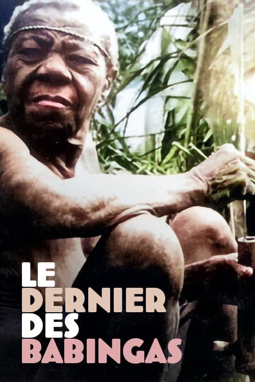 Постер: Le dernier des Babingas