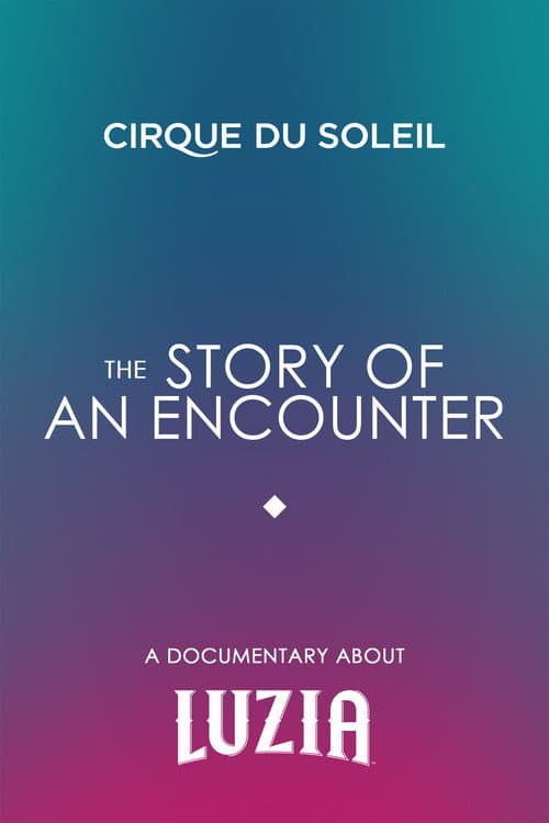 Постер: The Story Of An Encounter