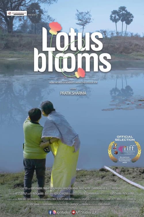 Постер: Lotus Blooms