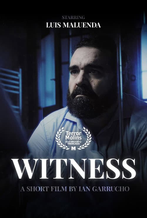 Постер: Witness