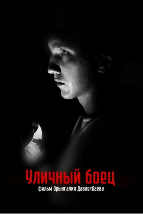 Постер: The Street Fighter