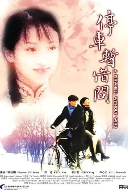 Постер: 烟雨红颜