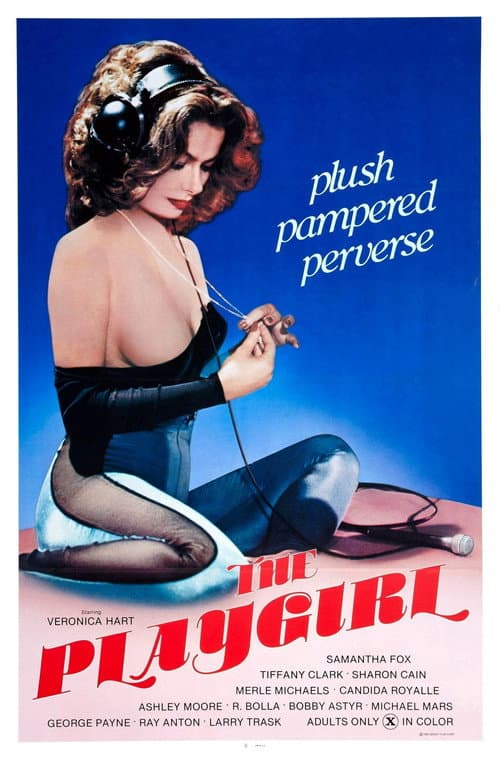Постер: The Playgirl