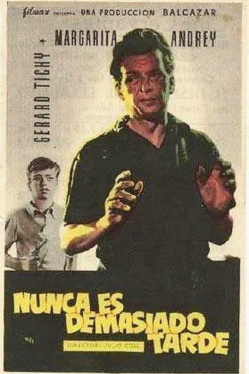 Постер: Nunca es demasiado tarde