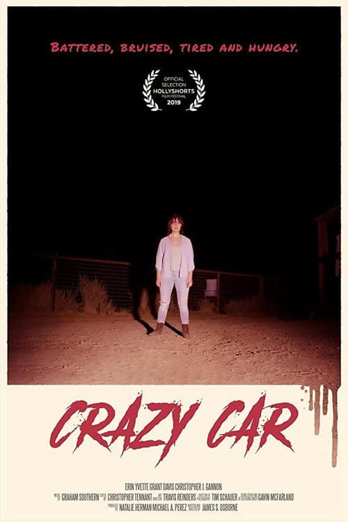 Постер: Crazy Car