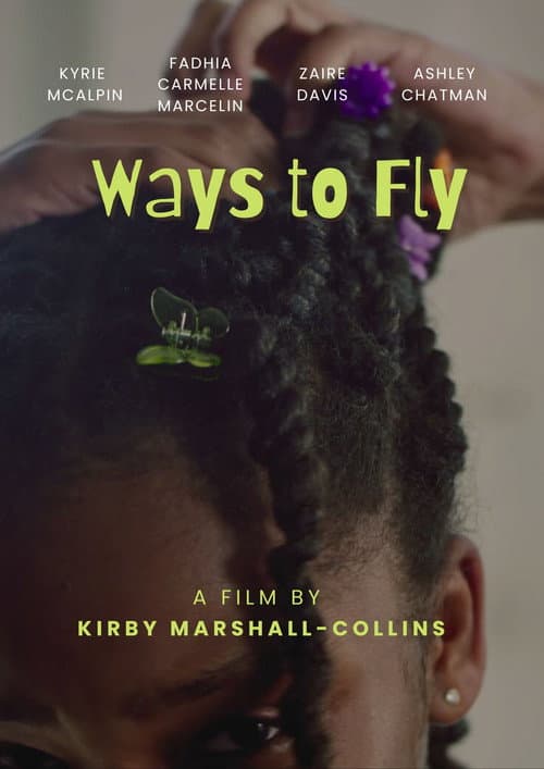 Постер: Ways to Fly