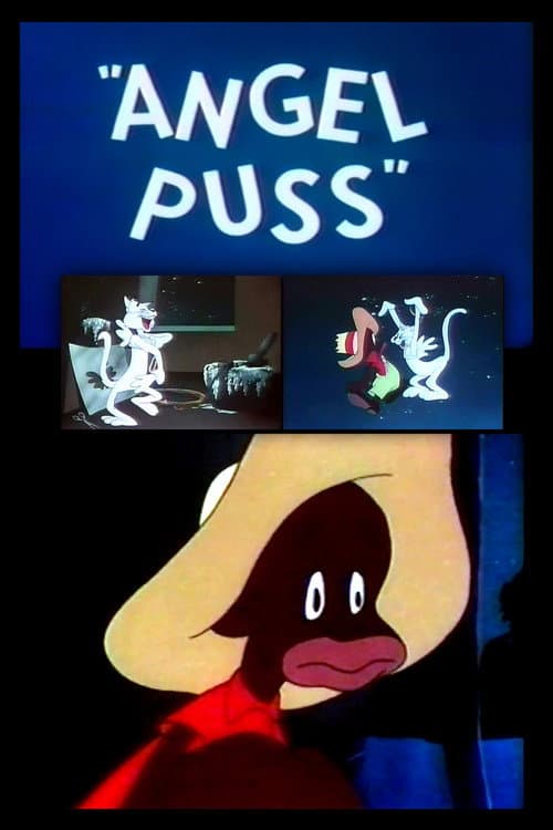 Постер: Angel Puss