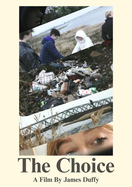 Постер: The Choice: Illegal Dumping