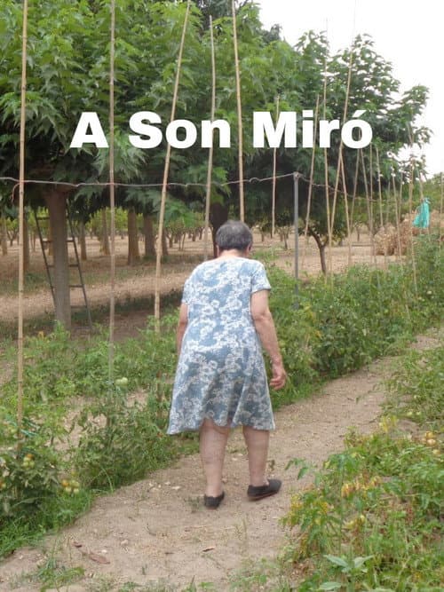 Постер: A Son Miró