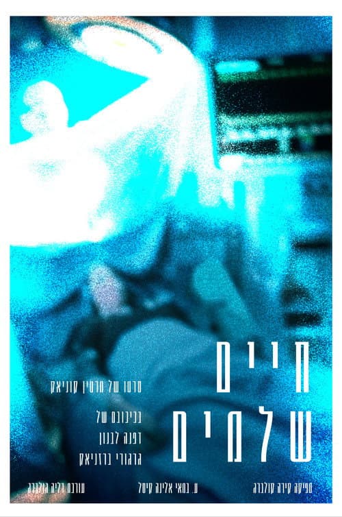 Постер: חיים שלמים