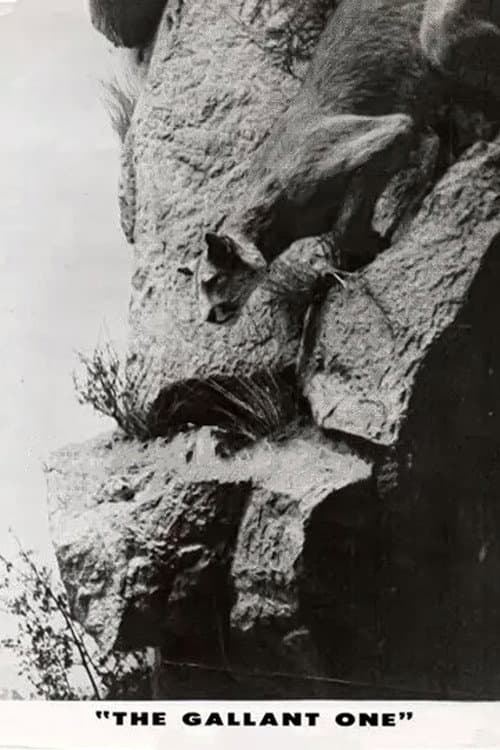 Постер: The Gallant One