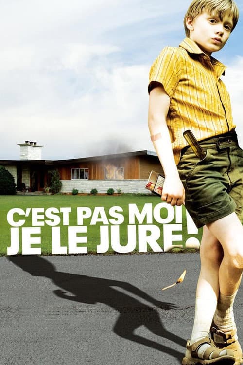 Постер: C'est pas moi, je le jure!