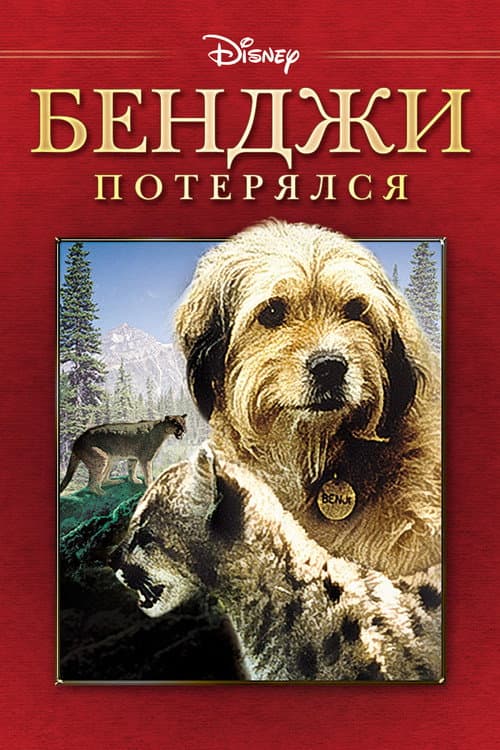Постер: Бенджи потерялся