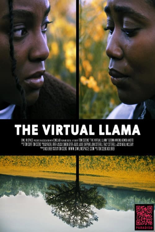 Постер: The Virtual Llama