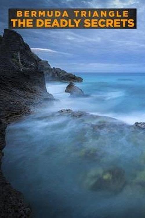 Постер: Bermuda Triangle: The Deadly Secrets