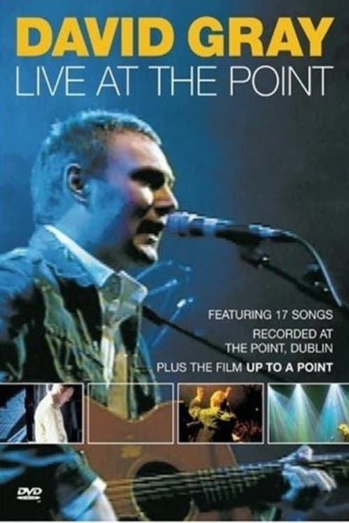Постер: David Gray: Live at the Point