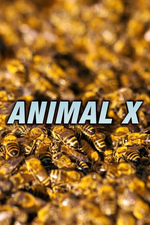 Постер: Animal X