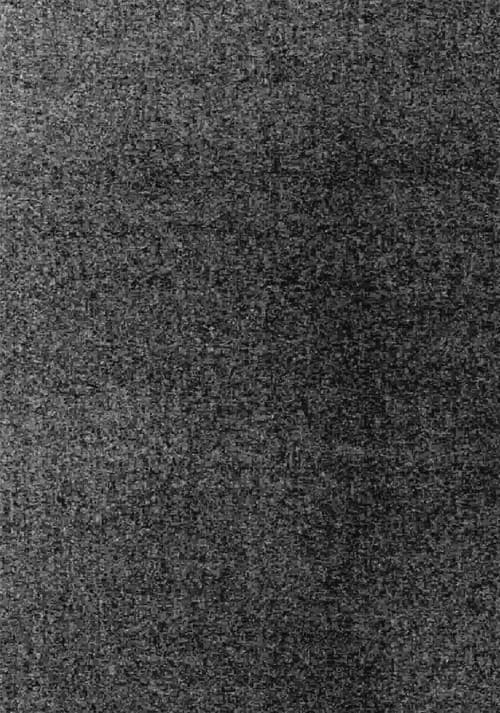 Постер: Catatonik