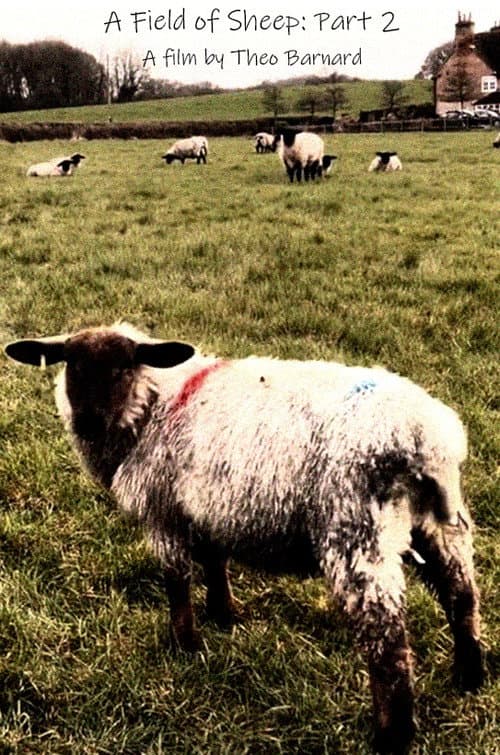 Постер: A Field of Sheep Part 2