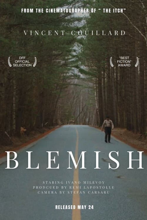 Постер: Blemish