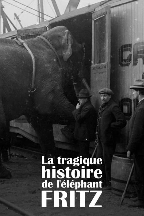 Постер: La Tragique Histoire de Fritz l'éléphant