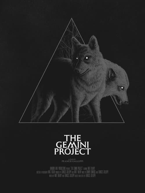 Постер: The Gemini Project