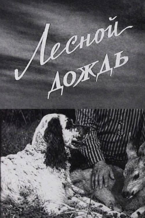 Постер: Лесной дождь