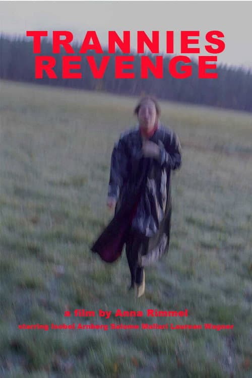 Постер: Trannies Revenge