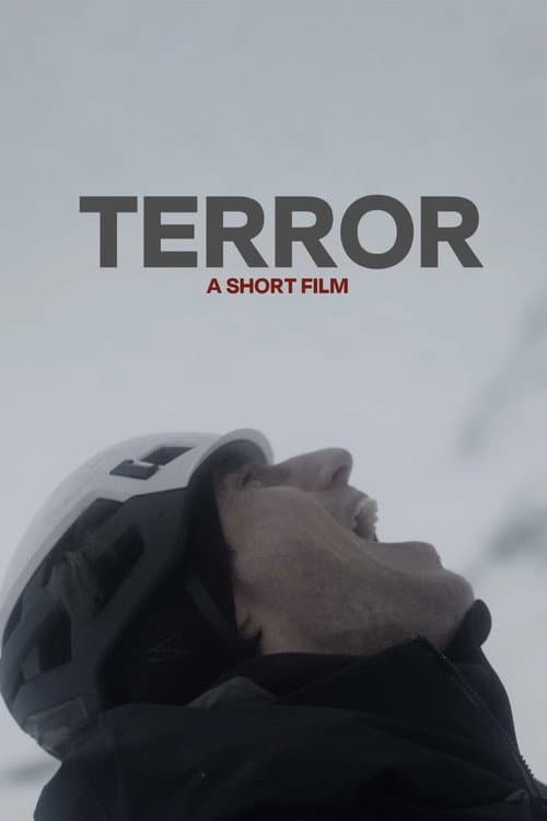 Постер: Terror