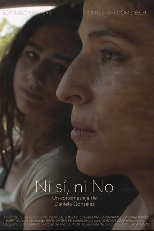 Постер: Ni sí, ni no