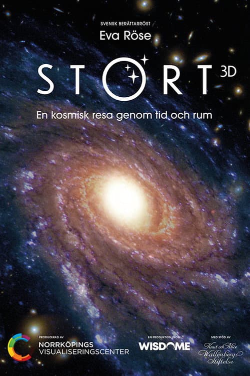 Постер: Stort
