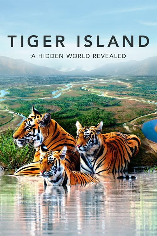 Постер: Tiger Island