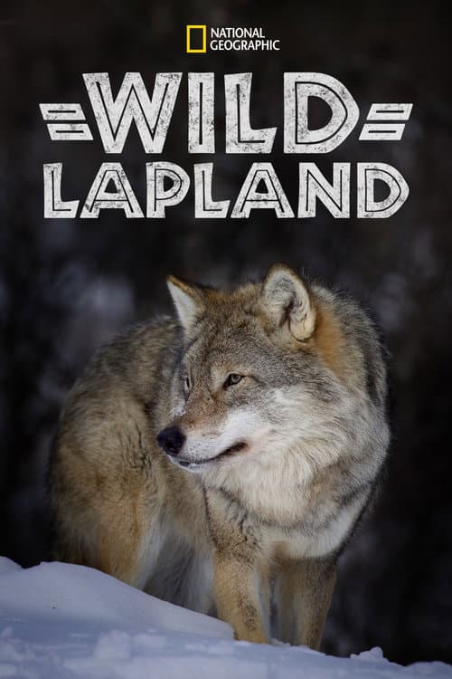 Постер: Wild Lapland