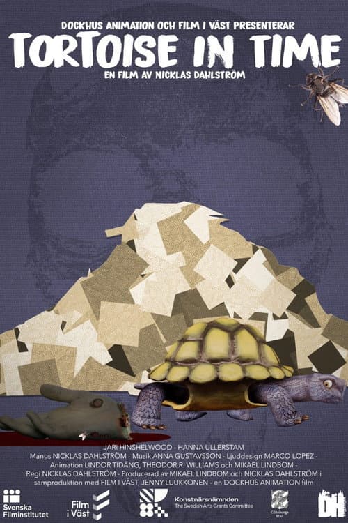 Постер: Tortoise in Time