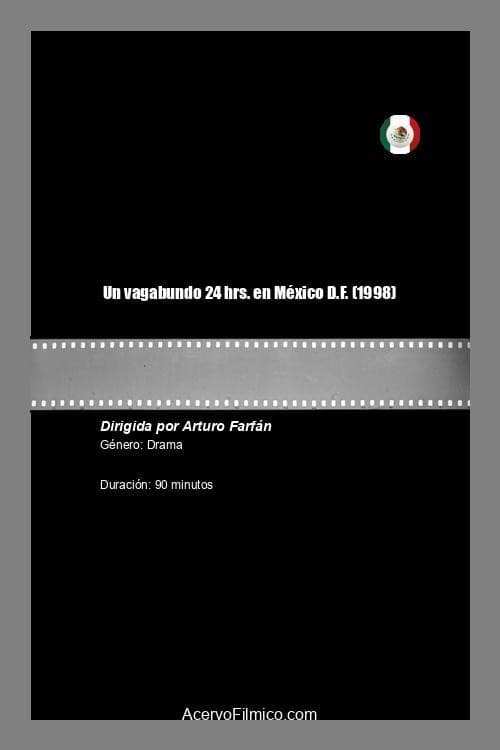 Постер: Un vagabundo 24 hrs. en México D.F.