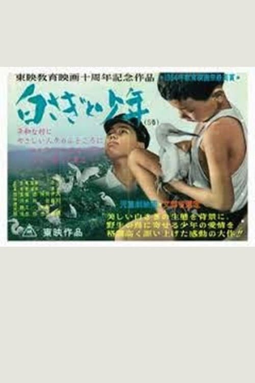 Постер: 白さぎと少年