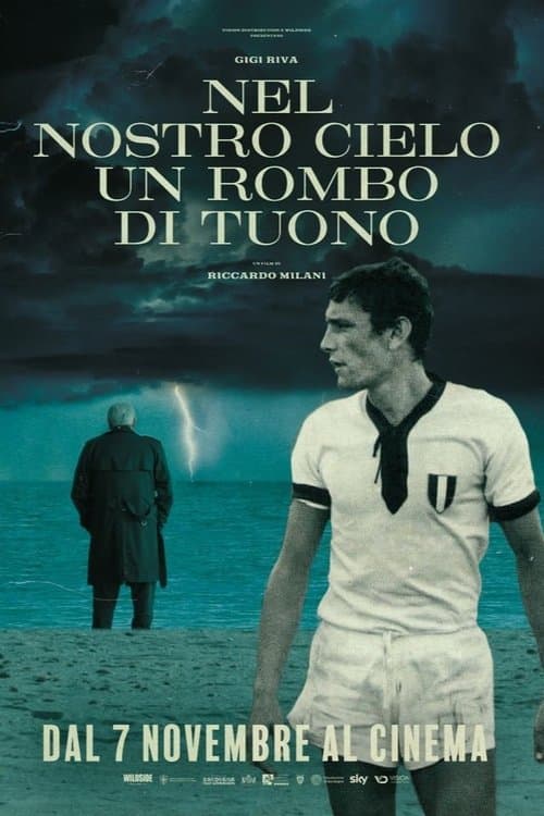 Постер: Nel nostro cielo un rombo di tuono