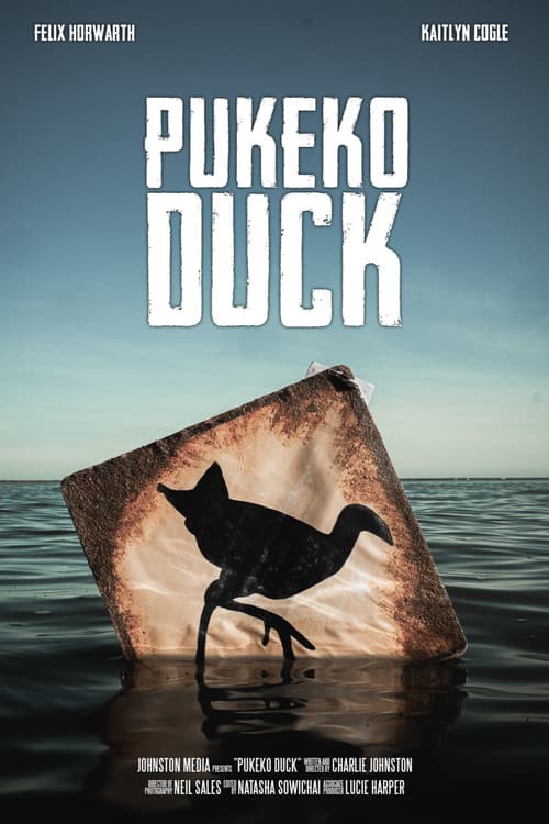 Постер: Pukeko Duck