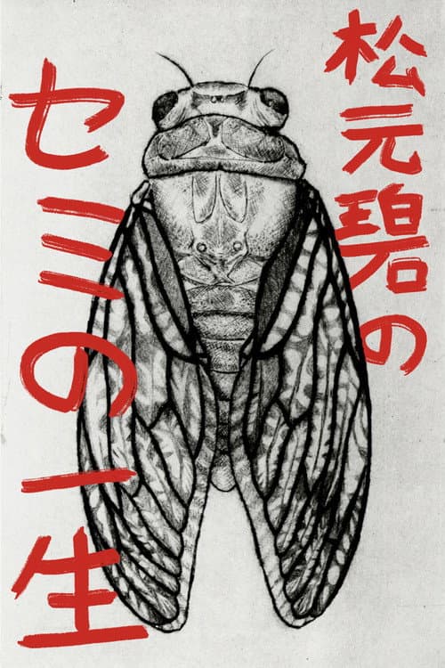 Постер: 松元碧のセミの一生