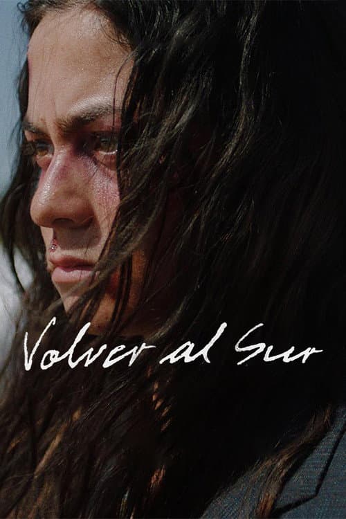 Постер: Volver al Sur