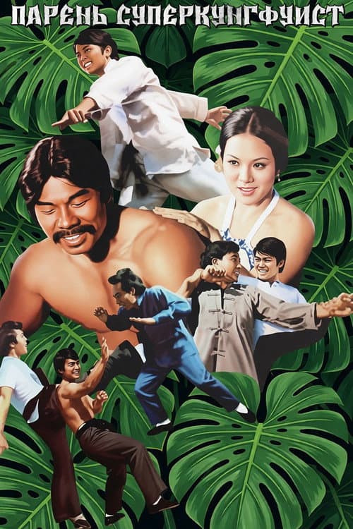 Постер: 小霸王