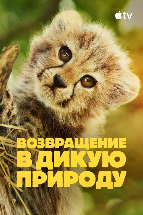 Кадр 3
