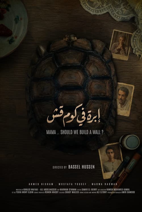 Постер: إبرة في كوم قش