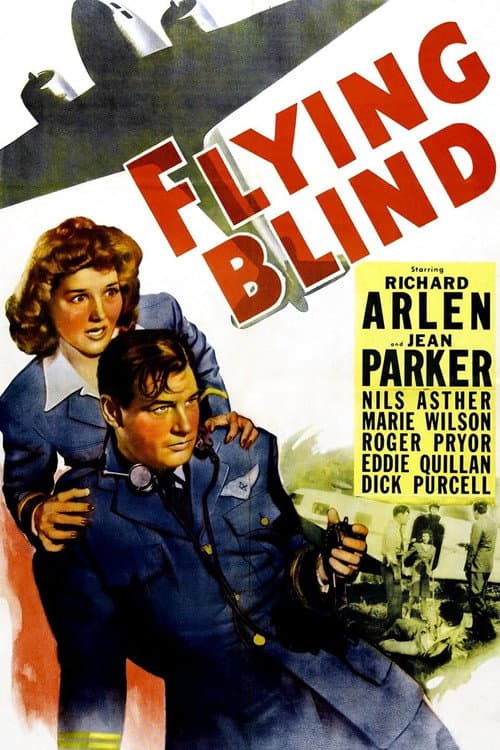 Постер: Flying Blind